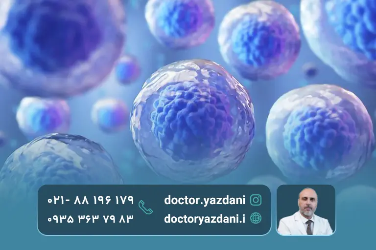 بهترین زمان برای اجام سلول درمانی